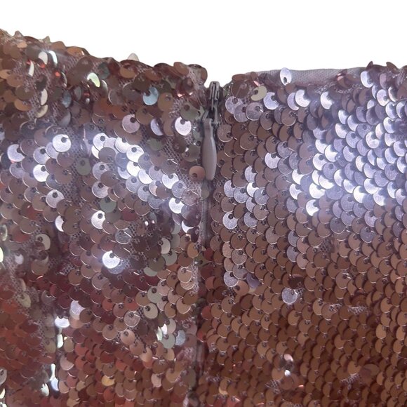 NWOT Rose Gold short sleeve sequin mini swing shift dress; SZ M; Nude Lining - Picture 4 of 8
